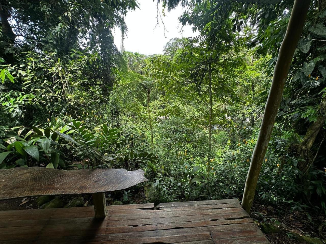 Casa Rio Blanco Eco Friendly B&B Guapiles Exterior photo