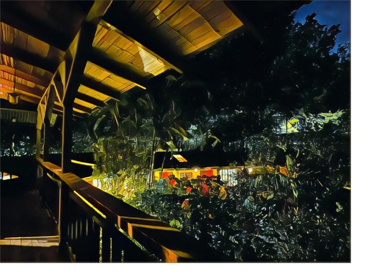 Casa Rio Blanco Eco Friendly B&B Guapiles Exterior photo