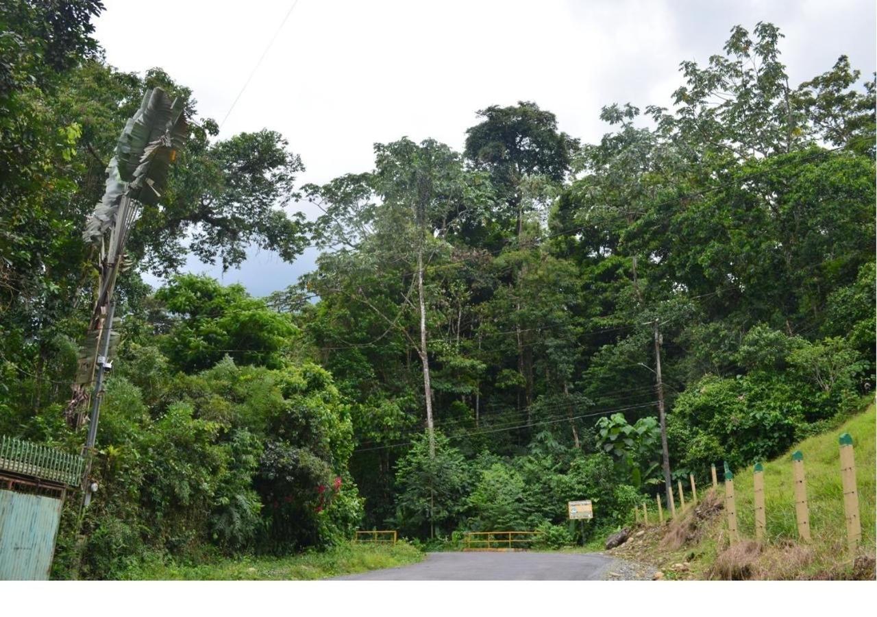 Casa Rio Blanco Eco Friendly B&B Guapiles Exterior photo