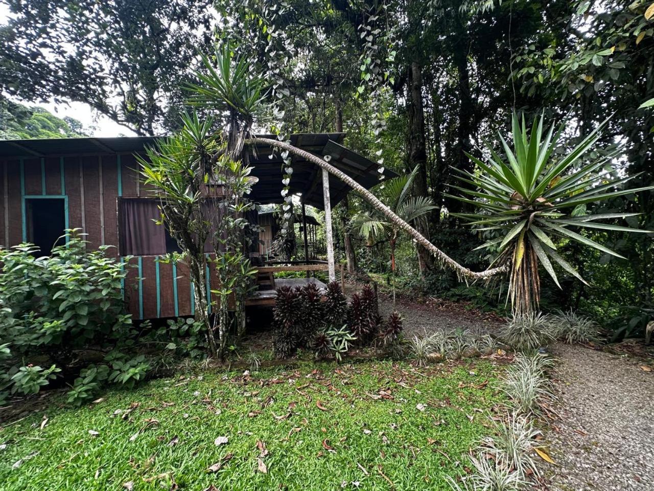 Casa Rio Blanco Eco Friendly B&B Guapiles Exterior photo