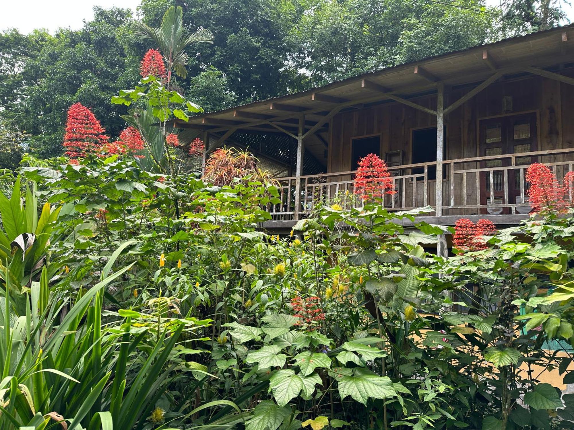 Casa Rio Blanco Eco Friendly B&B Guapiles Exterior photo