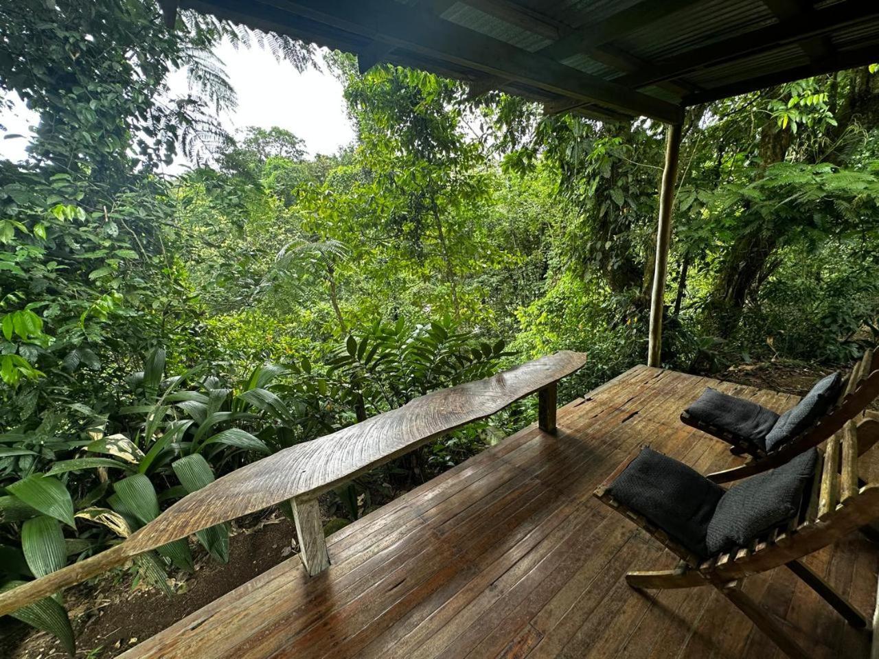 Casa Rio Blanco Eco Friendly B&B Guapiles Exterior photo