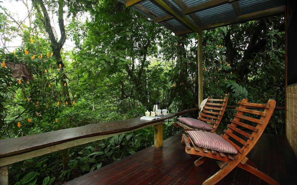 Casa Rio Blanco Eco Friendly B&B Guapiles Exterior photo